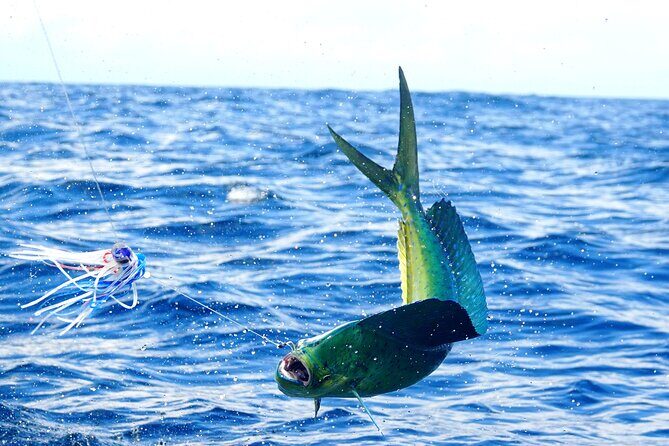 1/2 Day 5 Hour Offshore Fishing Charter - FAQ