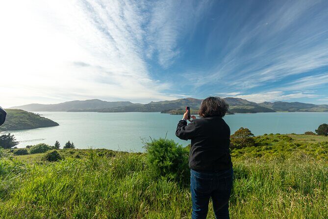 1/2-day Christchurch Scenic Highlights (Private Shore Excursion) - Final Thoughts: Is This Tour Right For You?