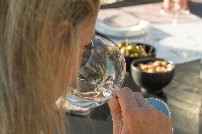 1/2 day, private wine tour, van from Saint Tropez - What You Can Expect from the Tour