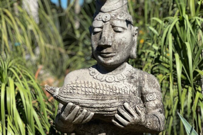 1/2 Day Puerto Vallarta Botanical Garden tour by Biologist Guide - Final Thoughts: Is This Tour for You?