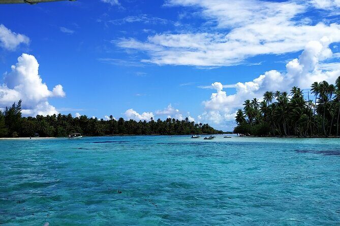 1/2 day Tahaa coral garden - departure Raiatea / ideal for cruise passengers - Key Points