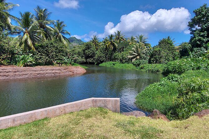 1/2 day "Treasures of Raiatea" by boat - ideal for cruise passengers - Why This Tour Might Be Perfect for You