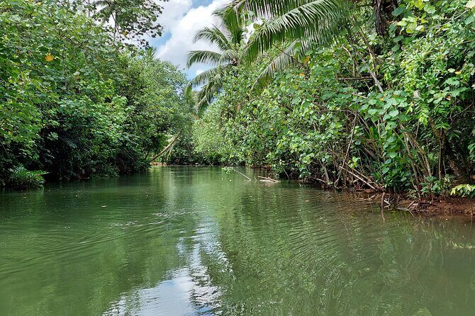 1/2 day "Treasures of Raiatea" by boat - ideal for cruise passengers - Final Word