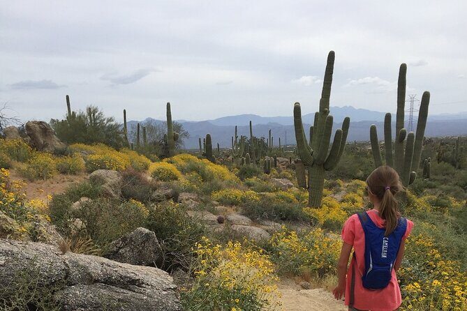 1-2 Hour Sonoran Desert Private Guided Hiking Tour - Why Choose the 1-2 Hour Sonoran Desert Guided Hike?