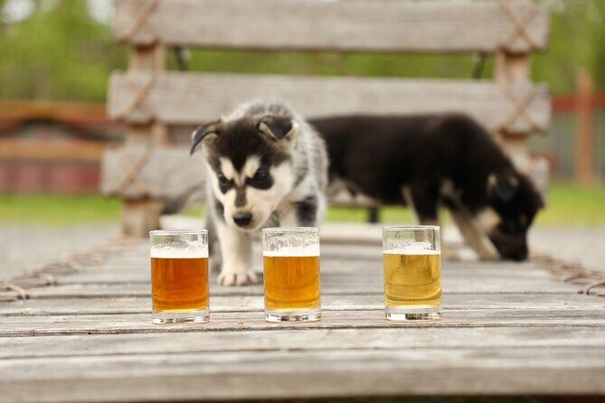 1.5-Hour Beer and Puppies Guided Experience in Fairbanks - Value and Considerations