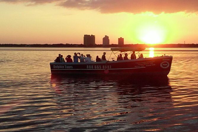 1.5-hour Dolphin Sightseeing Cruise from Tampa - A Closer Look at the Experience