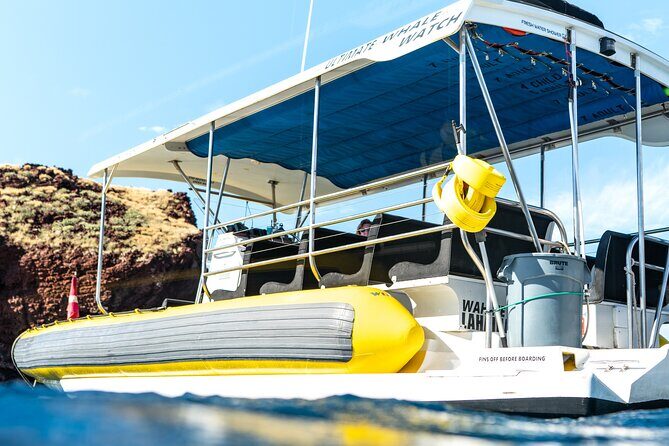 1.5 Hour Elite Whale Watch Kaanapali Beach - Final Thoughts