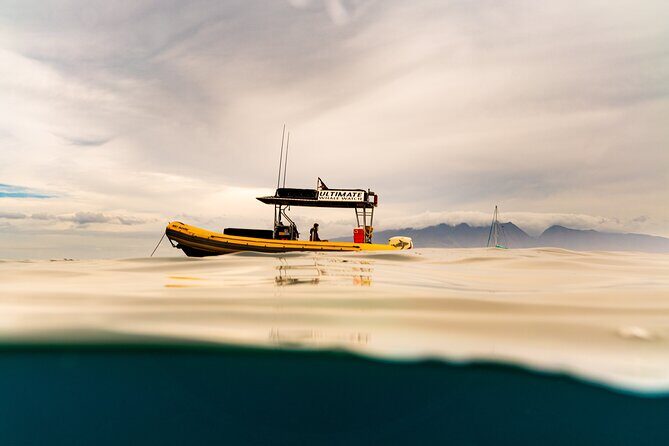 1.5 Hour Elite Whale Watch Kaanapali Beach - FAQ