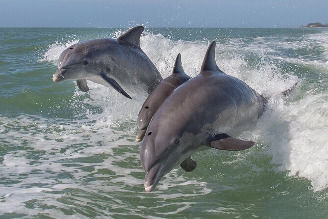 1.5-Hour Historical Jet Ski Experience in South Padre Island - FAQs about the 1.5-Hour Historical Jet Ski Experience