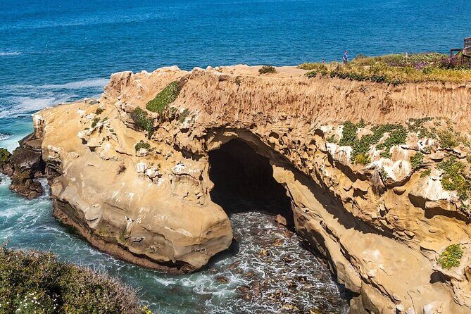 1.5 Hour Walking Tour from La Jolla in San Diego - The Real Deal: Pros and Cons