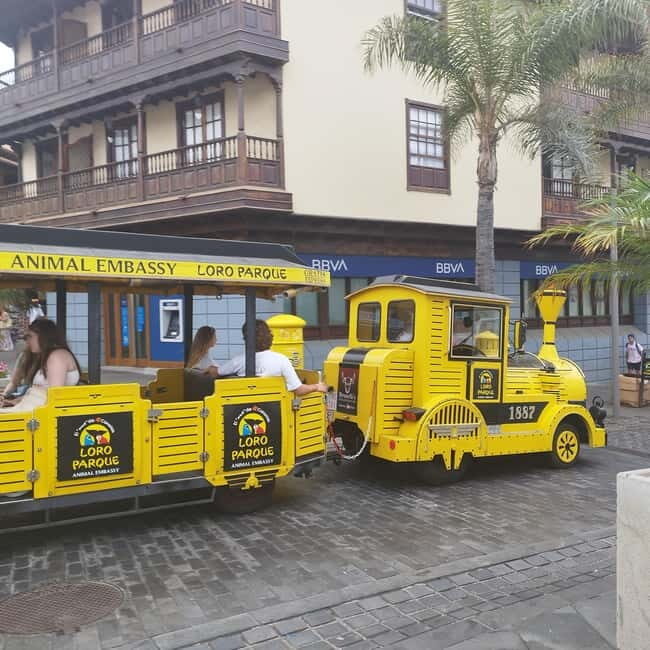 1.5-hour walking tour of Puerto de la Cruz, Tenerife. - An Overview of the Tour Experience