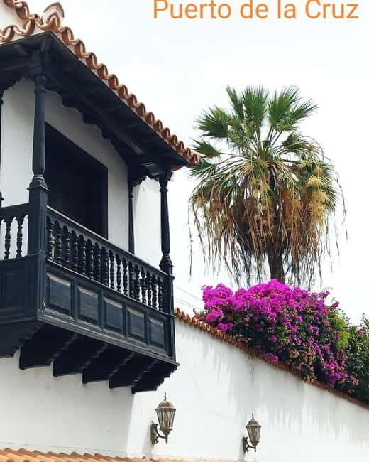 1.5-hour walking tour of Puerto de la Cruz, Tenerife. - What’s Included and How It Works