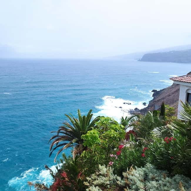 1.5-hour walking tour of Puerto de la Cruz, Tenerife. - FAQ