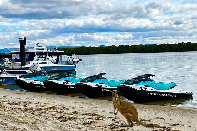 1.5 hr Jet Ski Safari tour to South Stradbroke Island! - The Food and Beverage Element