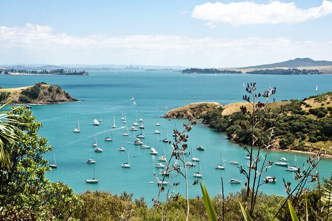 1.5h Waiheke Guided Scenic Tour in our Electric Van - Who Is This Tour Best For?