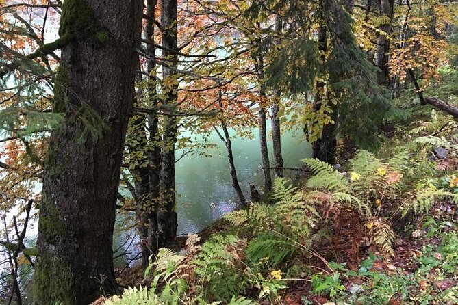 1 Day 4x4 Tour in Carpathian Mountains - Final Thoughts