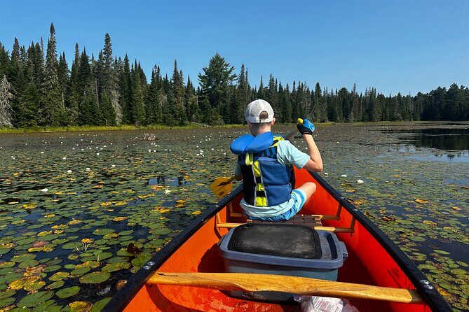 1 Day Canoeing Tour in Algonquin Park - Exploring the 1 Day Canoeing Tour in Algonquin Park