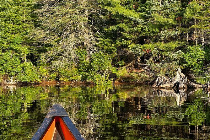 1 Day Canoeing Tour in Algonquin Park - Who Is This Tour Best For?