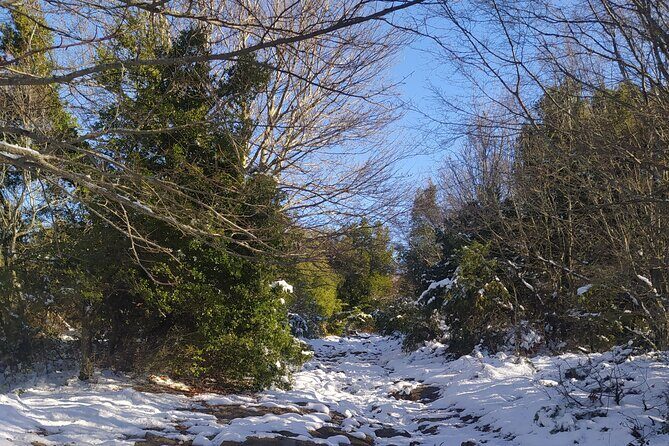 1 Day Chortiatis mt Thessaloniki Hiking Tour with Hotel Pickup - Real Traveler Insights