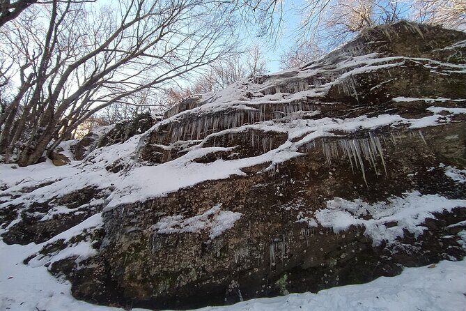 1 Day Chortiatis mt Thessaloniki Hiking Tour with Hotel Pickup - FAQ