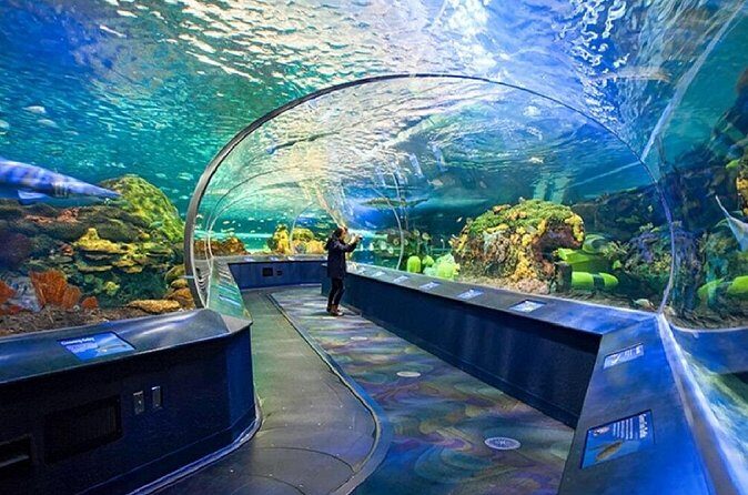 1 Day City Sightseeing Tour at Toronto City - FAQs