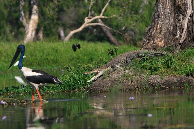 1 Day Corroboree Billabong Wetland Experience including 2.5 hour cruise + lunch - FAQ