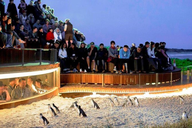1 Day Exclusively Private Tour Of Phillip Island & The Penguin Parade - Key Points