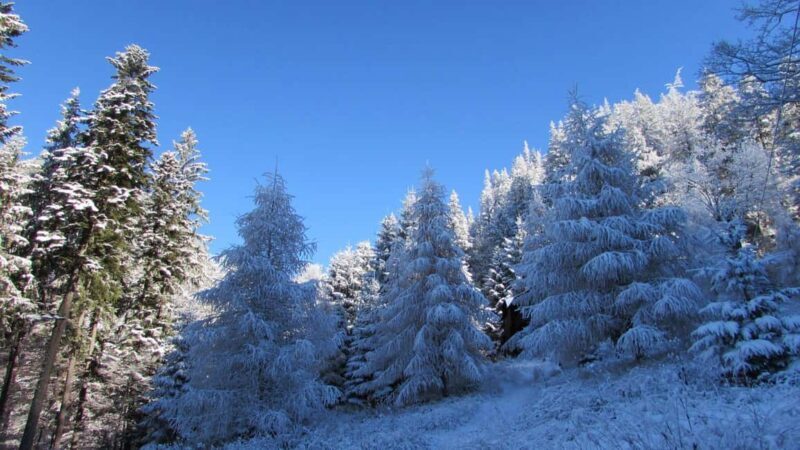 1 day hike to the Piatra Mare massif - Key Points