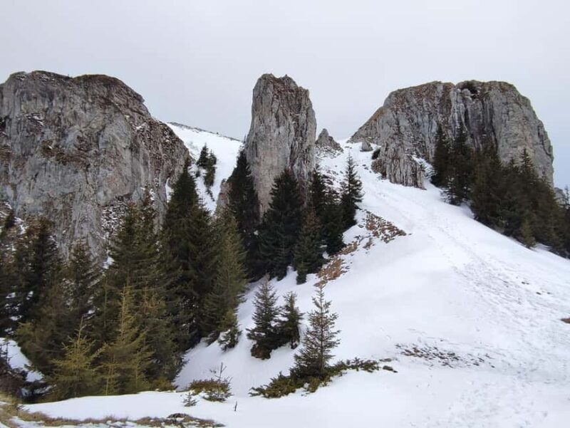 1 day hike to the Piatra Mare massif - An In-Depth Look at the Piatra Mare Hike Experience