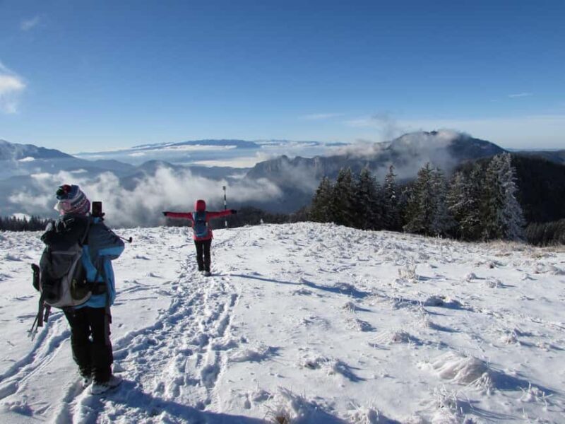 1 day hike to the Piatra Mare massif - Who Should Consider This Tour?