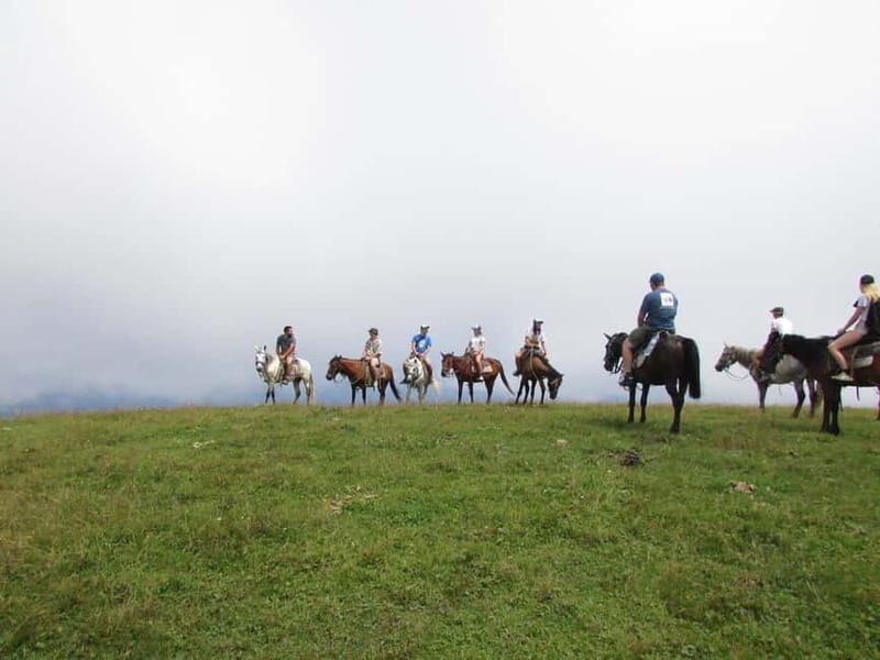 1 Day Horse Riding Adventure in Borjomi Mountains - What to Expect from the Borjomi Horse Riding Tour