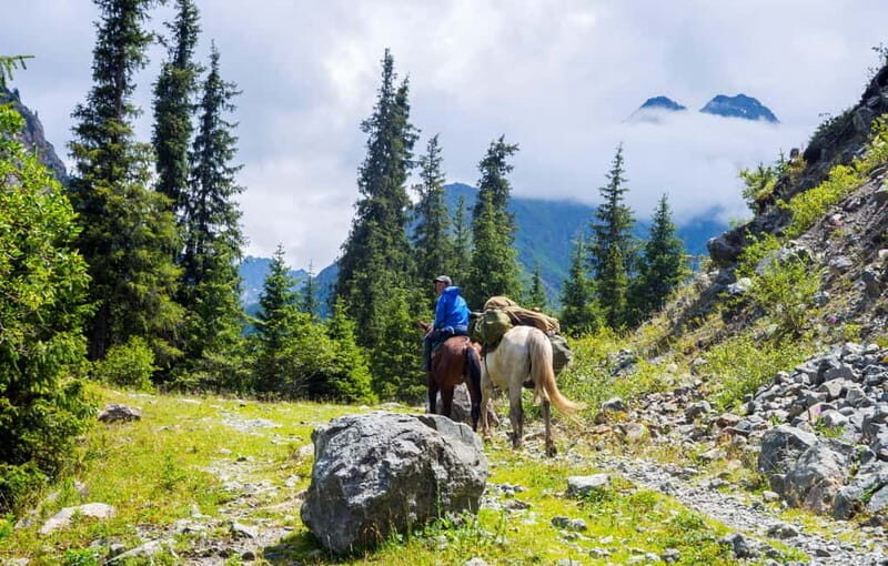 1 Day Horse Riding Adventure in Borjomi Mountains - The Authentic Experience You’ll Likely Remember