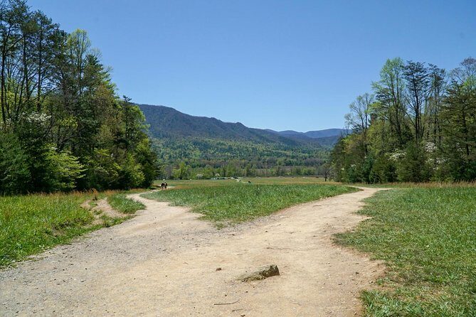 1 Day Jeep Rental Through the Smoky Mountains - Pros and Cons Recap