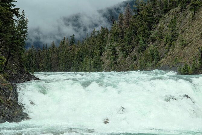 1 Day of Banff Viewpoints Lakes Bow Valley in Private Custom Tour - Key Points