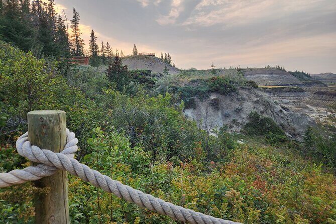 1 Day of Drumheller Dinosaurs and Badlands Guided Group Tour - An In-Depth Look at the 1-Day Drumheller Tour