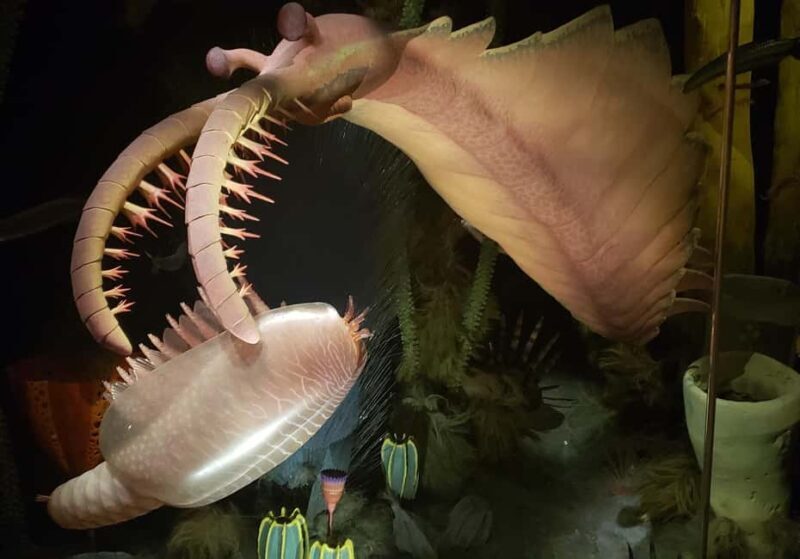 1 Day of Drumheller Dinosaurs and Badlands Guided Tour - What to Expect on the Tour