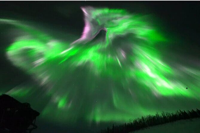 1 Day Shared Tour Arctic Circle and Aurora Viewing in Alaska - What’s Included and What’s Not