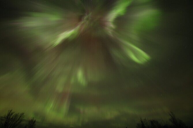 1 Day Shared Tour Arctic Circle and Aurora Viewing in Alaska - The Reviews Speak Volumes