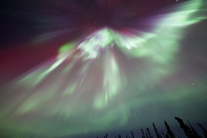 1 Day Shared Tour Arctic Circle and Aurora Viewing in Alaska - Who Is This Tour Best For?