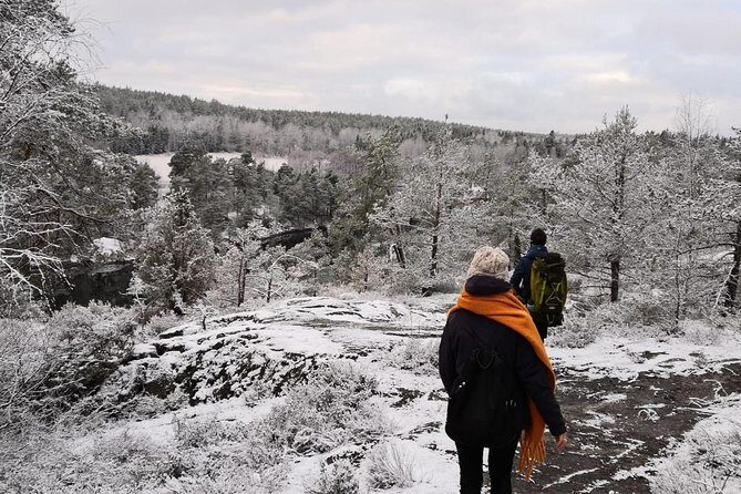 1-Day Small-Group Stockholm Nature Hiking - The Practicalities: What You Need to Know