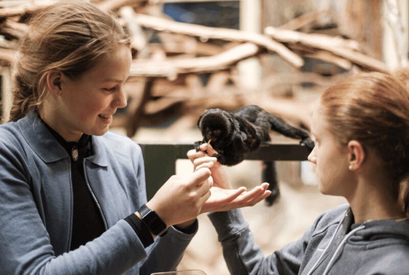 1-day ticket for Schwerin Zoo - Who Is This Zoo Best For?