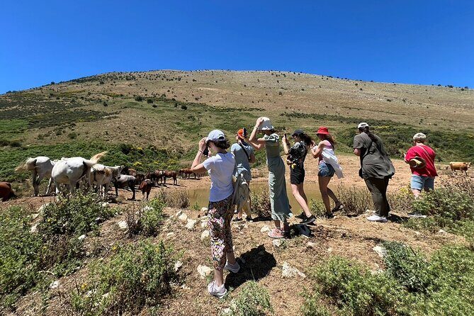 1-Day Tour in Blue Eye, Monastery, Gjirokaster and Lekursi Castle - The Monastery of Saint Michael