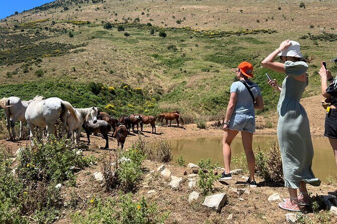 1-Day Tour in Blue Eye, Monastery, Gjirokaster and Lekursi Castle - Who Should Consider This Tour?