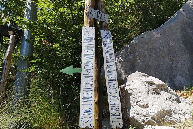 1-Day Tour to Visit the Wonderful Amalfi Coast - The Experience from Real Travelers