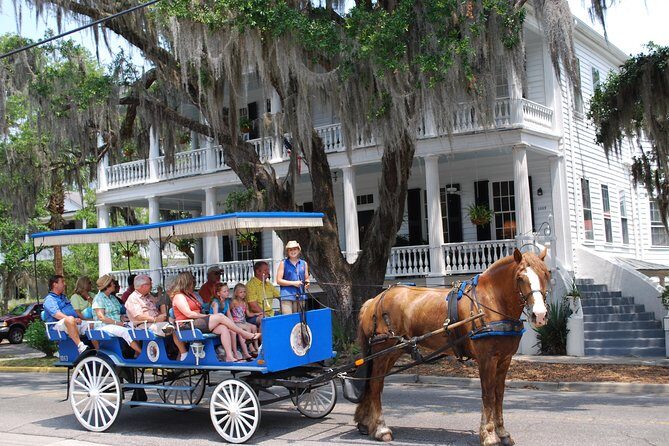 #1 Historical Horse Drawn Carriage Tour - Exploring Beaufort from the Comfort of a Horse-Drawn Carriage