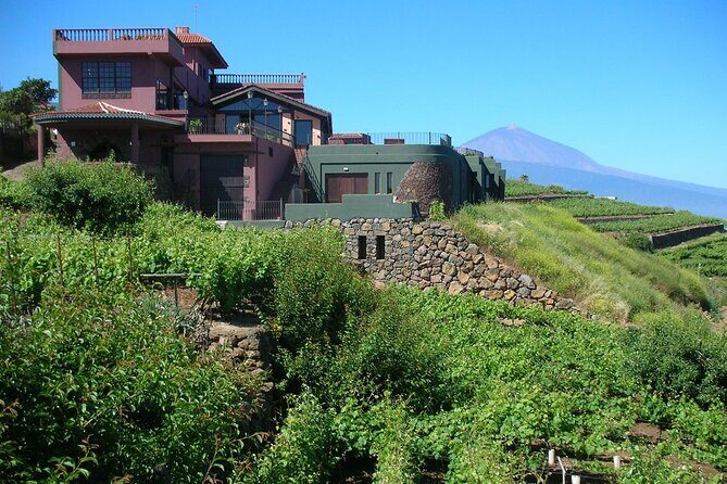 1 Hour and Half Mojo Sauce Workshop With Winery Tour - Is This Tour Worth It?