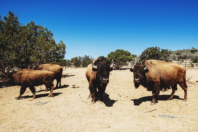1-Hour ATV Ride near the Grand Canyon's West Rim - Final Thoughts