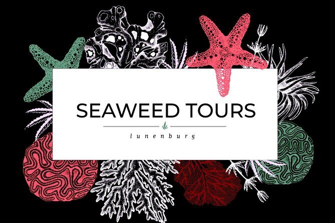 1 Hour Blue Rocks Excursions from Lunenburg - Wrapping It Up