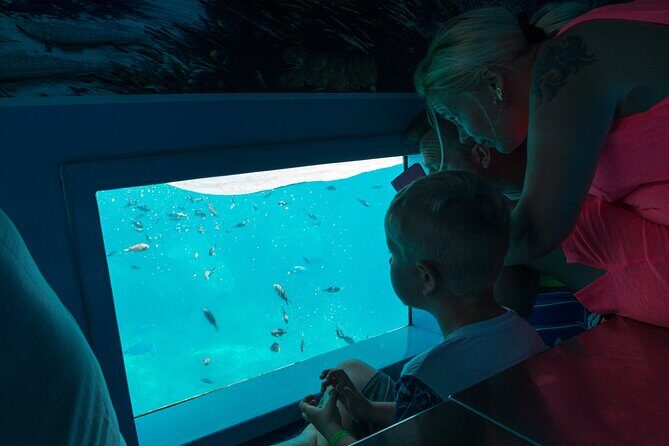 1-hour boat trip around the Port of Mahón - The Experience in Detail