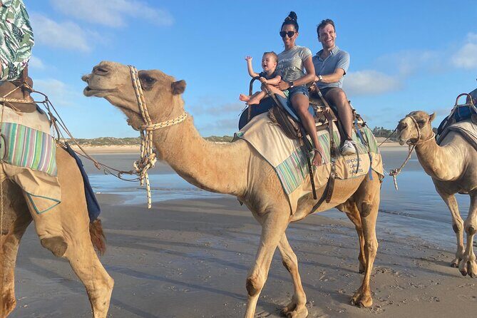 1 Hour Broome Sunset Camel Tour - A Friendly Look at Broome’s Sunset Camel Tour
